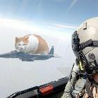 Jet Fighter