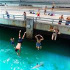 Jumping With The Sharks