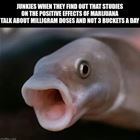 Junkies