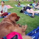 Just A Day At The Park
