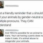 Just A Friendly Reminder