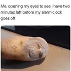 Just Before The Alarm