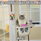 Just Have Kids
