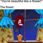 Just Like A Flower
