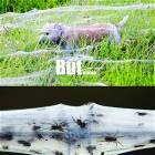 Just Like Snow