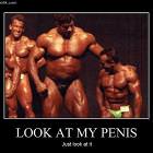 Just Look At It