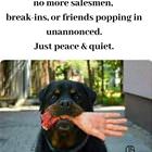 Just Peace