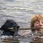 Just Playing Some Fetch