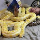 Just Reading A Story