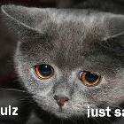 Just Sads