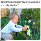 Just Smell It