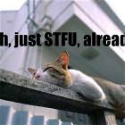 Just Stfu