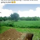 Just Took Up Gardening