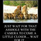 Just Wait
