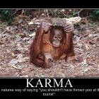 Karma