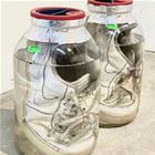 Keeping Them In A Jar