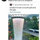 Kek