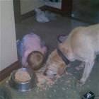 Kids Making A Mess 8
