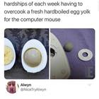 Kids These Days