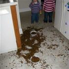 Kids making a little mess 10