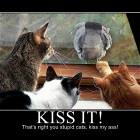 Kiss It