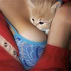 Kitten Boobs
