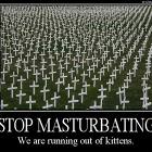 Kittens
