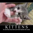 Kittens Are Cute