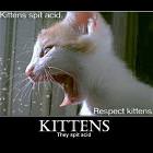 Kittens Spit Acid