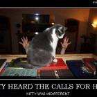 Kitty Heard Them
