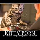 Kitty Porn