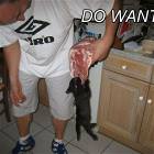 Kitty Wants