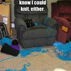Knitting Cat