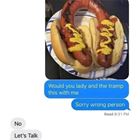 Lady And The Tramp