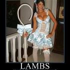 Lambs