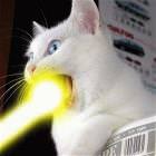 Laser Cat