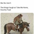 Laugh