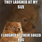 Laughed At My Size