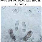Leap Frog