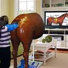 Learn About Horses