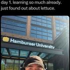 Learning So Much