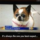 Least Expect