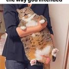 Leaving The Way Intended