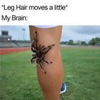 Leg Hair