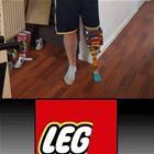 Leg