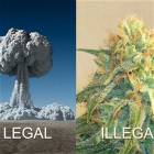 Legal And Illegal