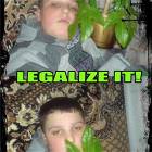 Legalize It