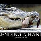 Lending A Hand