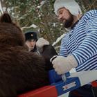 Lessgo Bear