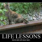 Lessons